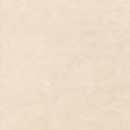 D_5Y - Birch