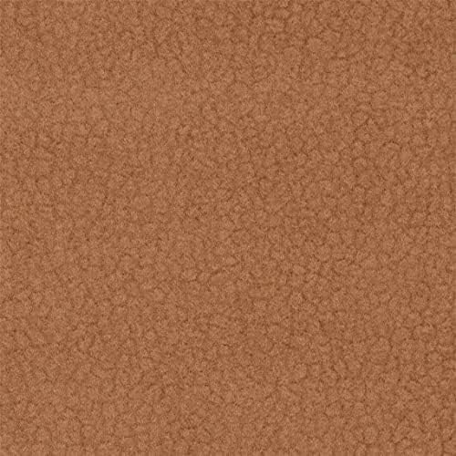 20Y_C -Orangutan