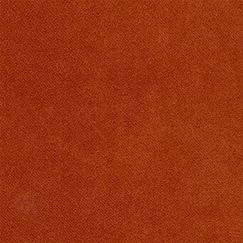 Liz Jordan Hill Luxury Velvet Upholstery Fabric by The Yard Pet Friendly Water Cleanable Stain Resistant Aquaclean Material for Furniture and DIY Ac Bellagio