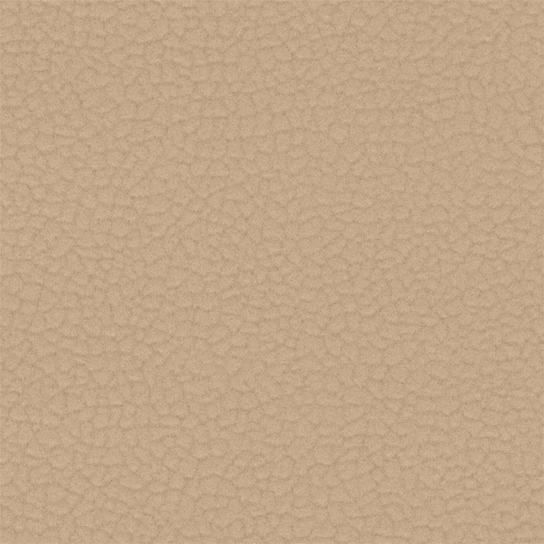 20Y_C - Conch