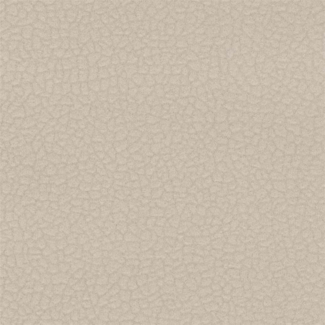 20Y_C -  Fog