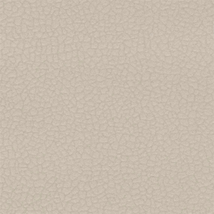 20Y_C -  Fog
