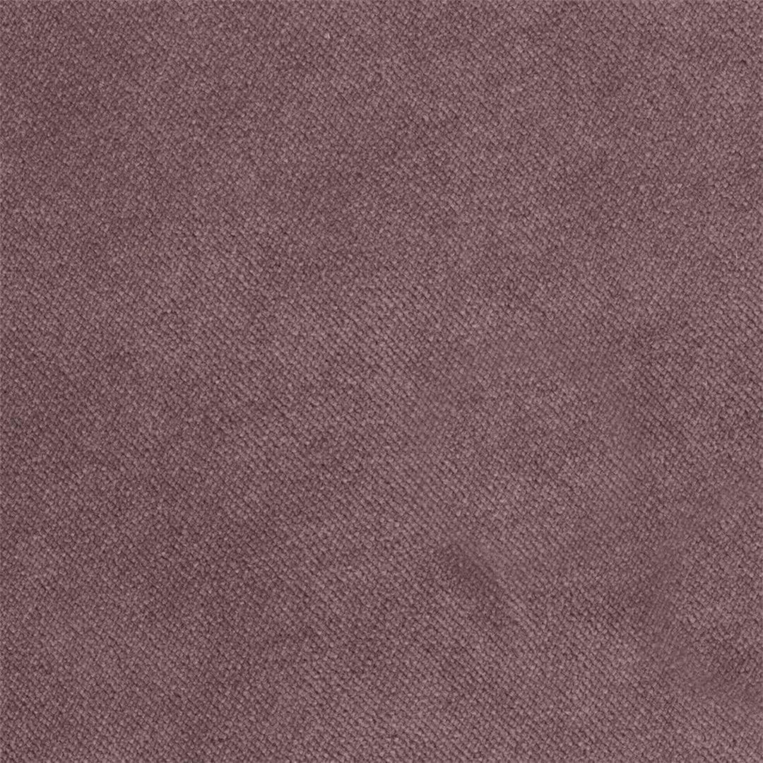 20Y -Bel - Lilac