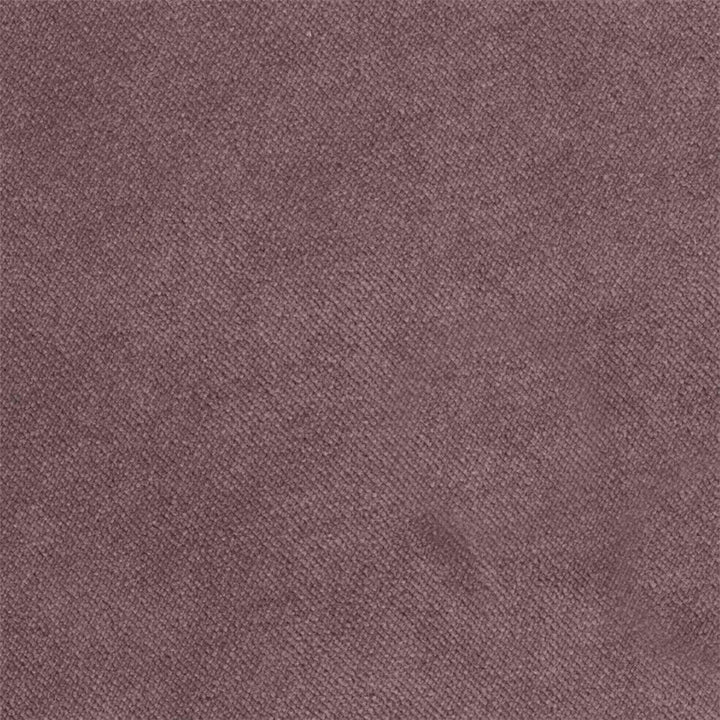 20Y -Bel - Lilac