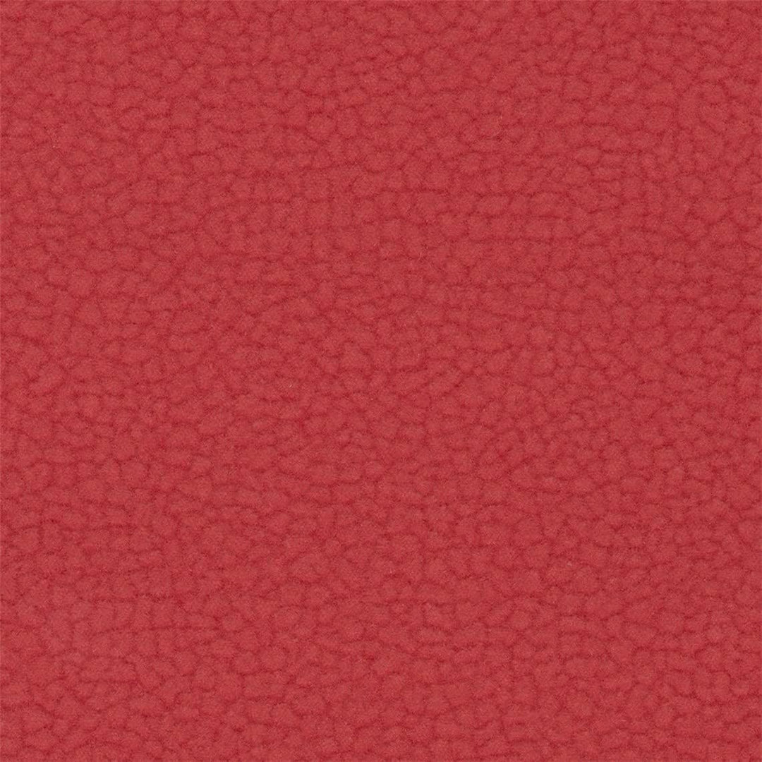20Y_C -  Currant