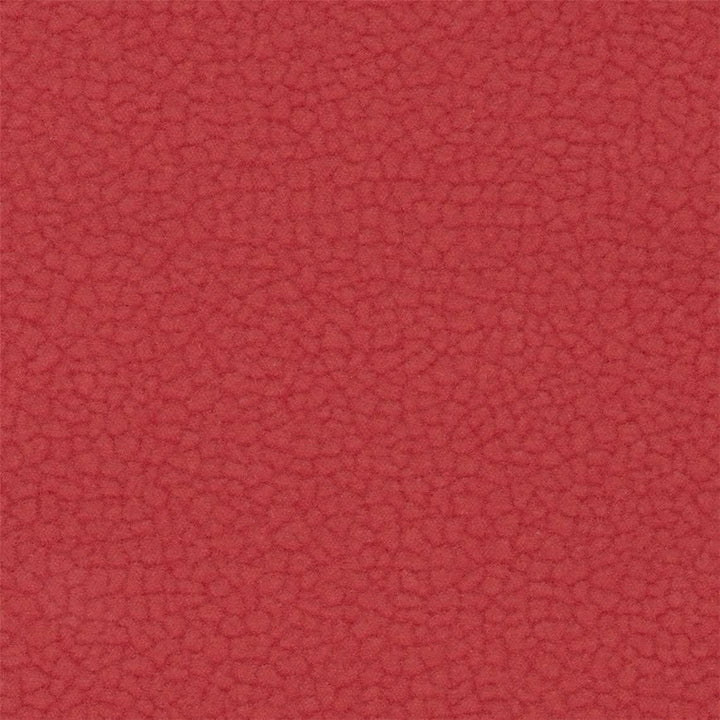20Y_C -  Currant