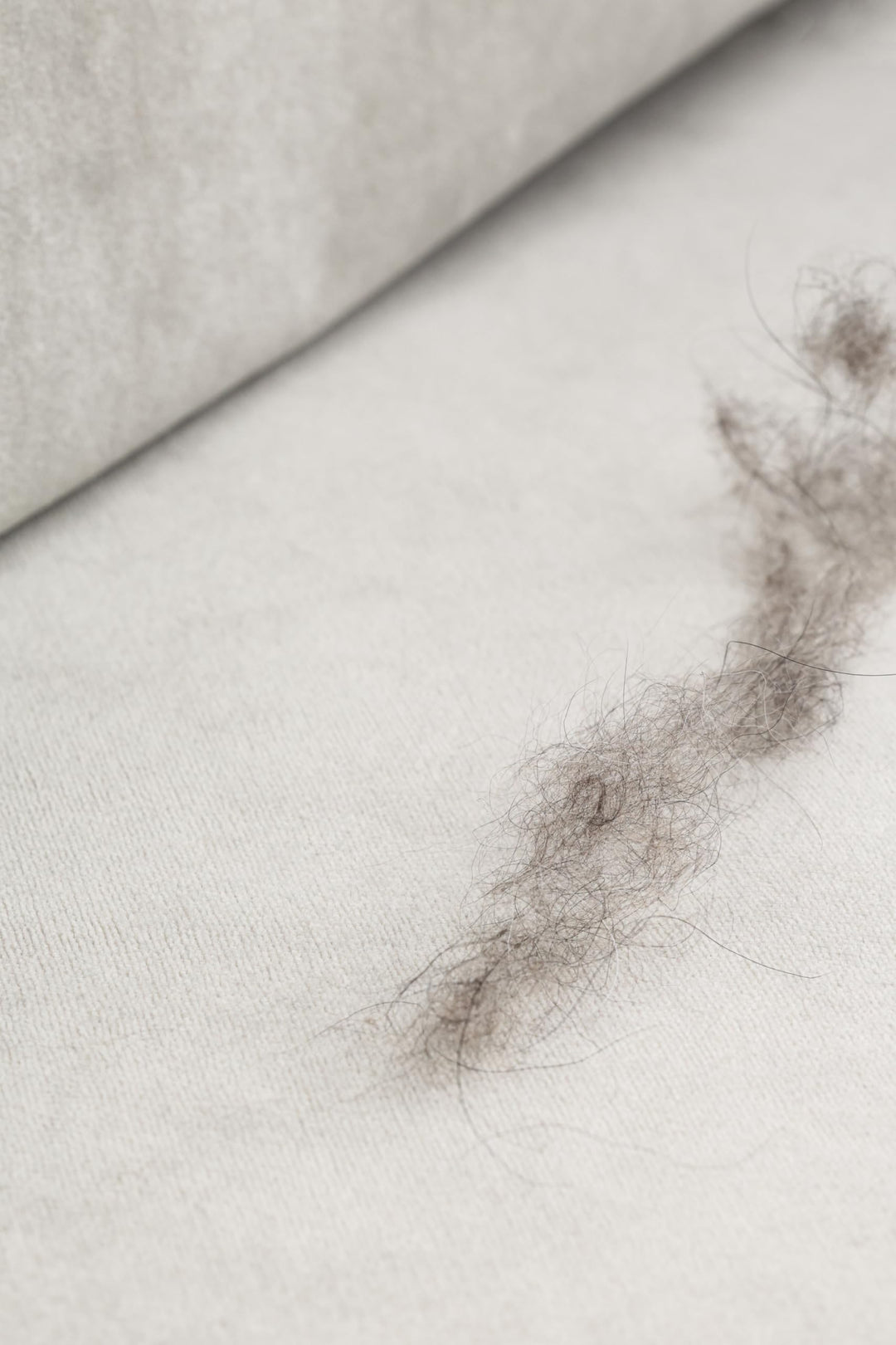 Liz Jordan Hill Luxury Velvet Upholstery Fabric by The Yard Pet Friendly Water Cleanable Stain Resistant Aquaclean Material for Furniture and DIY Ac Bellagio