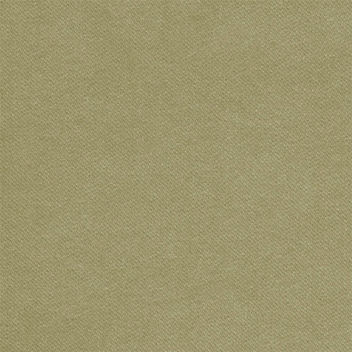 Liz Jordan Hill Luxury Velvet Upholstery Fabric by The Yard Pet Friendly Water Cleanable Stain Resistant Aquaclean Material for Furniture and DIY Ac Bellagio