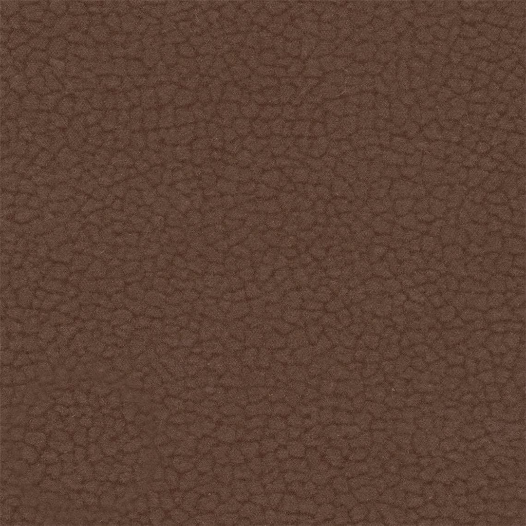 20Y_C -  Ganache