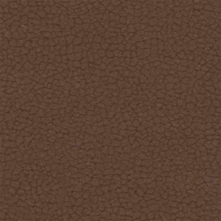 20Y_C -  Ganache