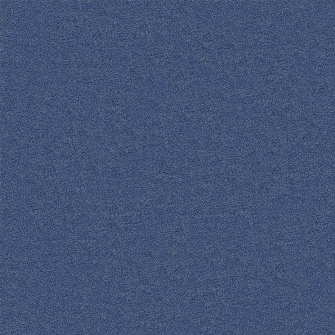 20Y_AQ - Blue Jay