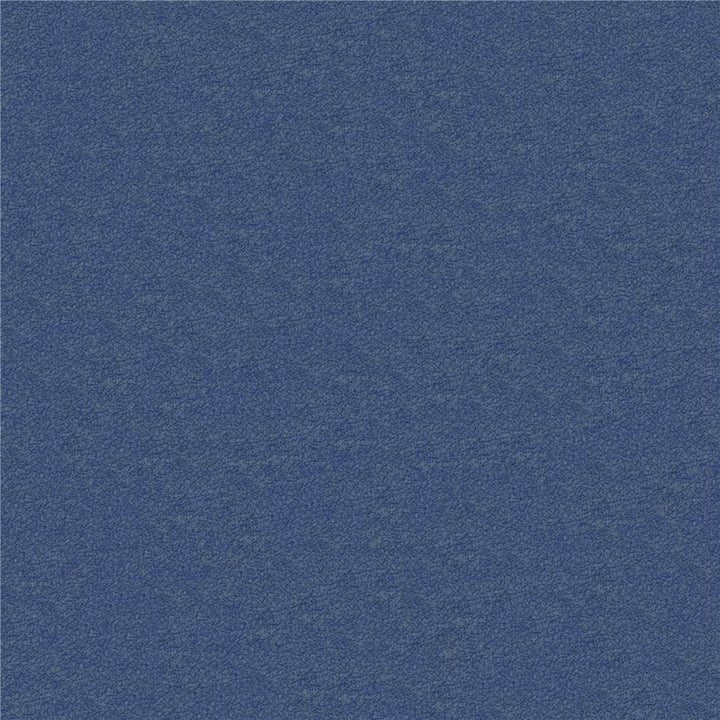 20Y_AQ - Blue Jay