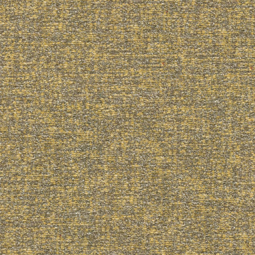25334 -8Y