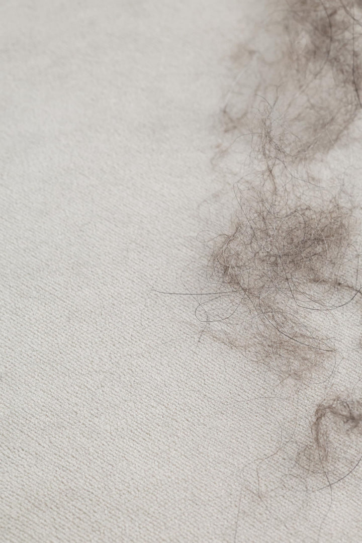 Liz Jordan Hill Luxury Velvet Upholstery Fabric by The Yard Pet Friendly Water Cleanable Stain Resistant Aquaclean Material for Furniture and DIY Ac Bellagio