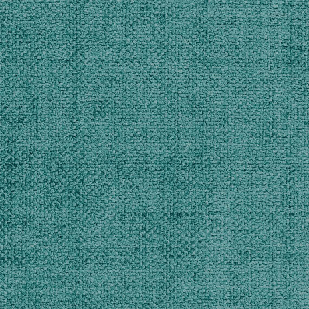 20Y_AQS- Peacock