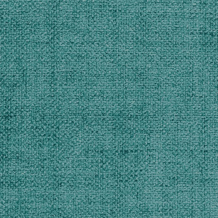 20Y_AQS- Peacock