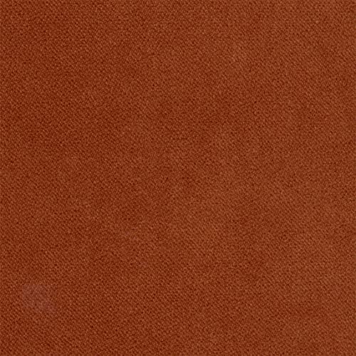 10Y -Bel - Monarch