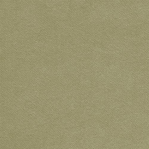 10Y -Bel - Olive