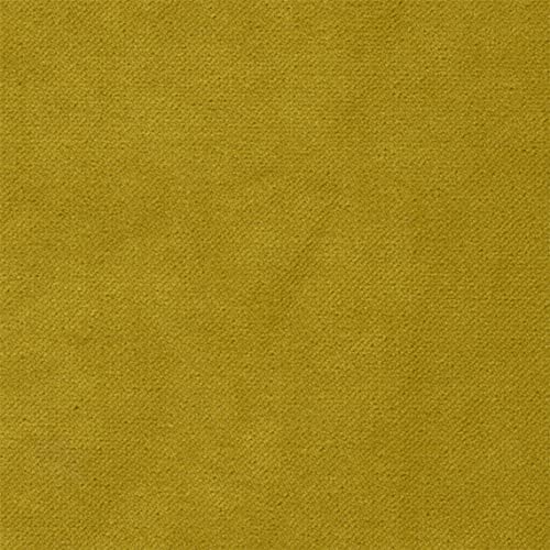 2Y -Bel -Sunflower
