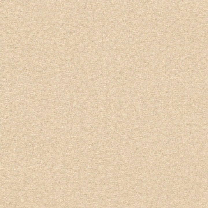 AC Carabu Stain Resistant Upholstery Fabric by the Yard - Liz Jordan-Hill Fabrics