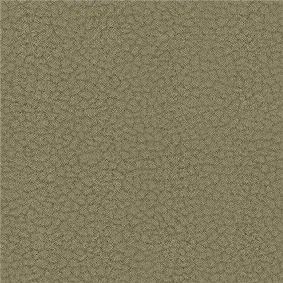 AC Carabu Stain Resistant Upholstery Fabric by the Yard - Liz Jordan-Hill Fabrics